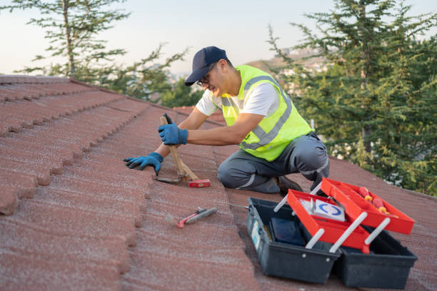 Roof Gutter Cleaning in Happy Valley, CA